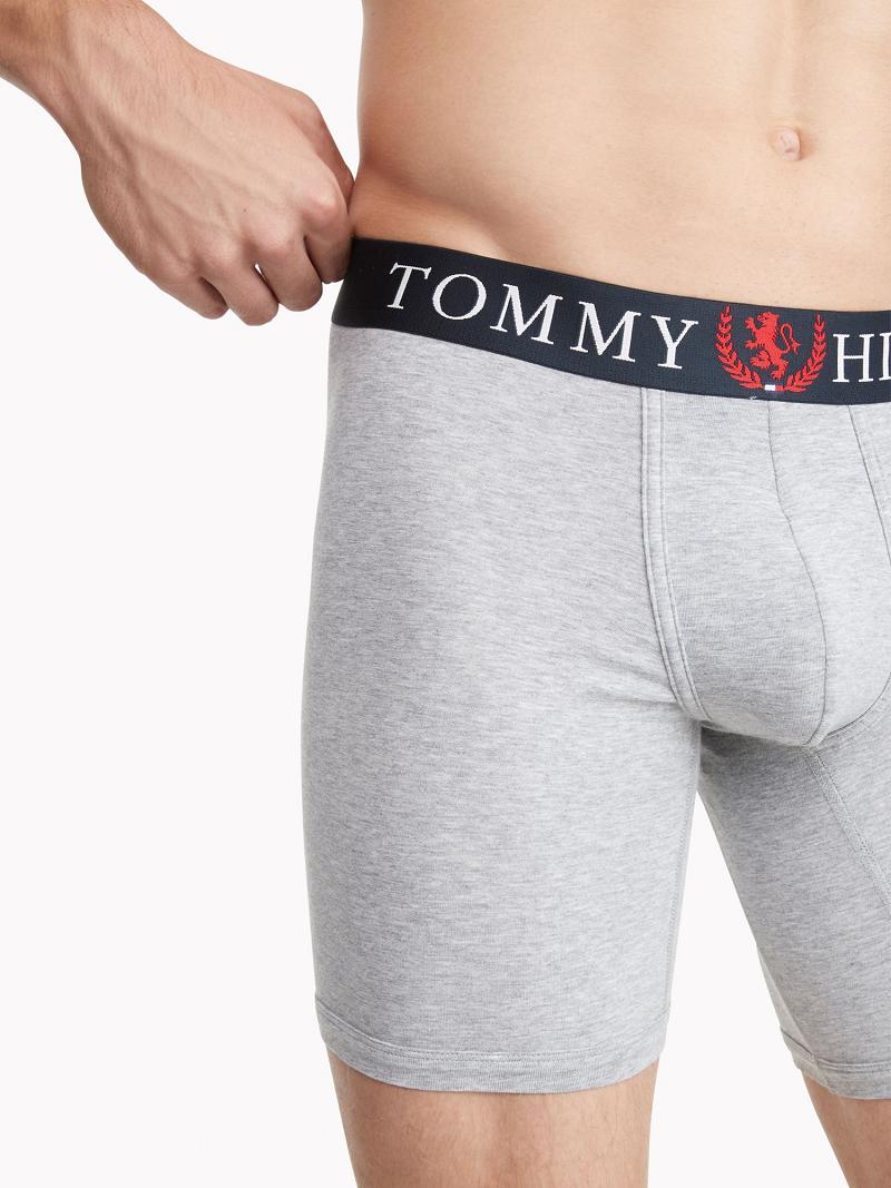 Férfi Tommy Hilfiger Authentic stretch boxer brief Boxer Briefs Szürke | HU 1351NWY